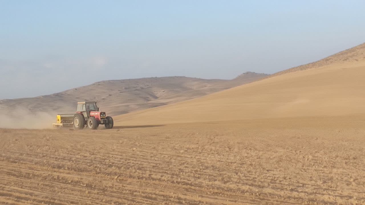کشت گندم دیم در ارتفاعات گرمه توسعه می‌یابد